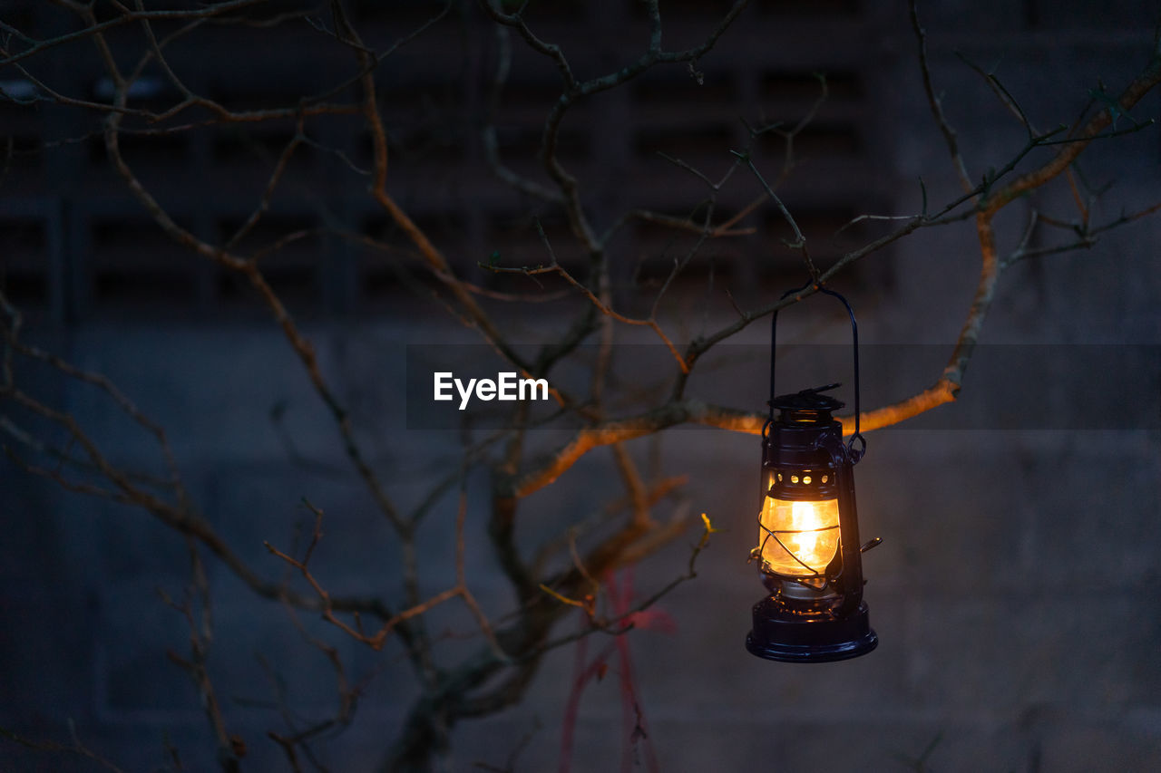 LOW ANGLE VIEW OF ILLUMINATED LIGHT BULB HANGING ON TREE