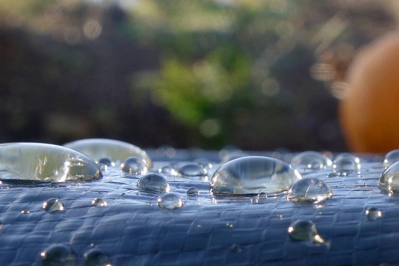 Close-up of water drops on glass