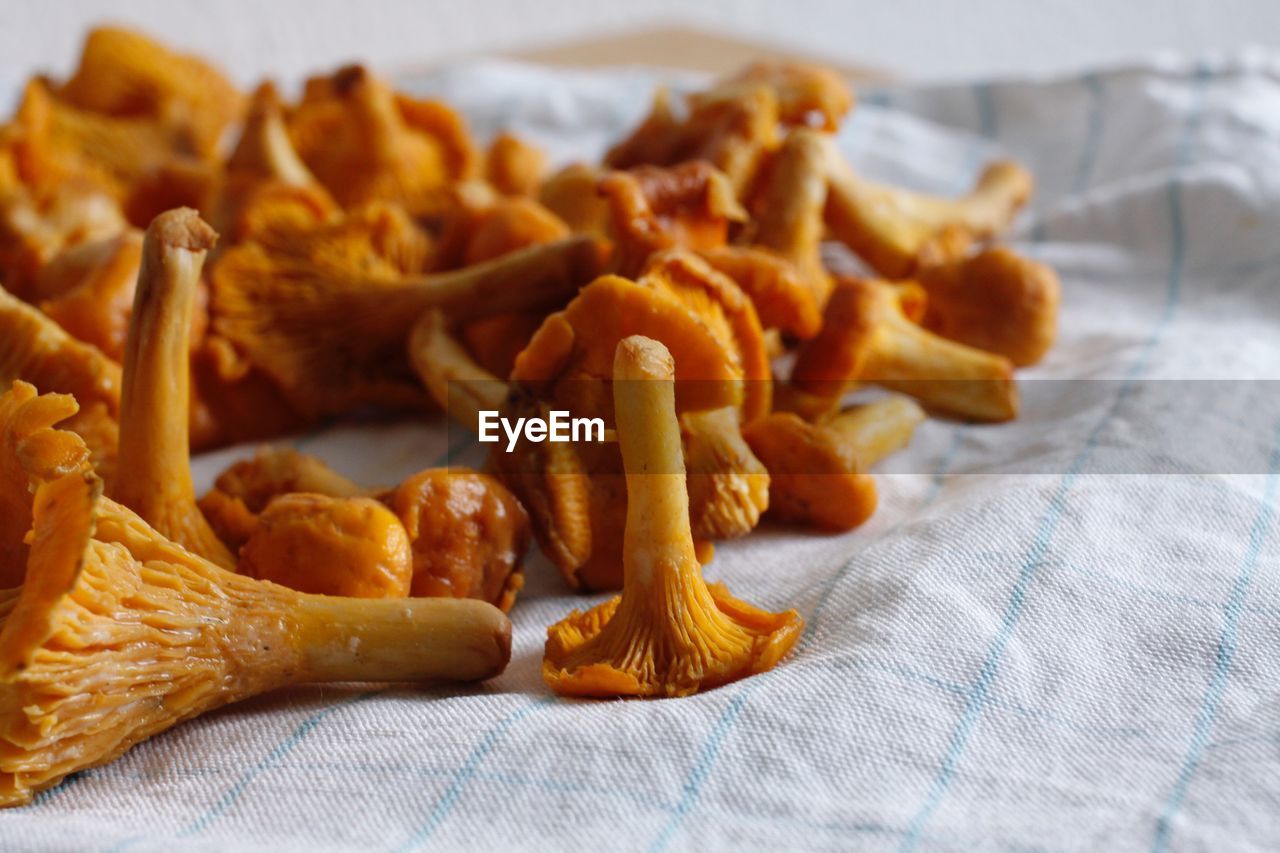 Close-up of  chantarelles 