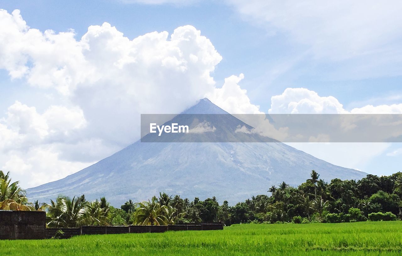 Scenic view of green landscape against sky