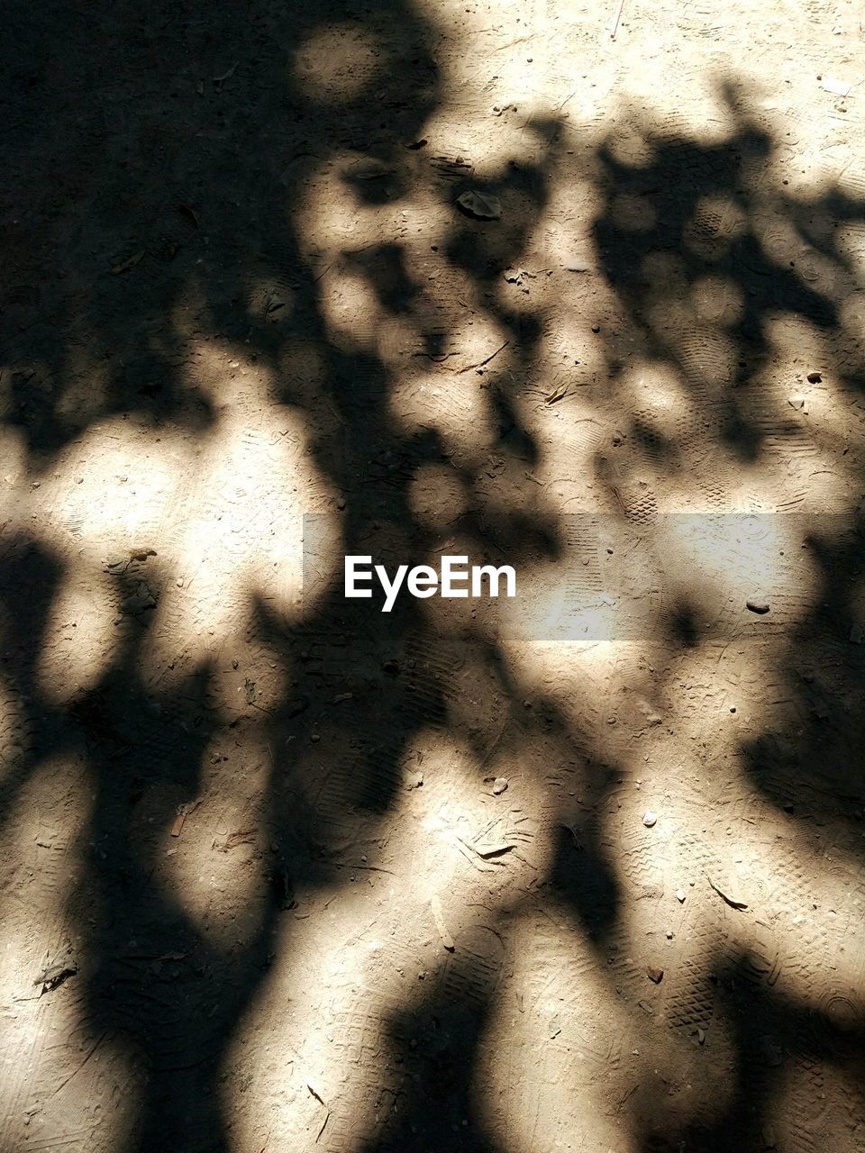 FULL FRAME SHOT OF SHADOW ON GROUND