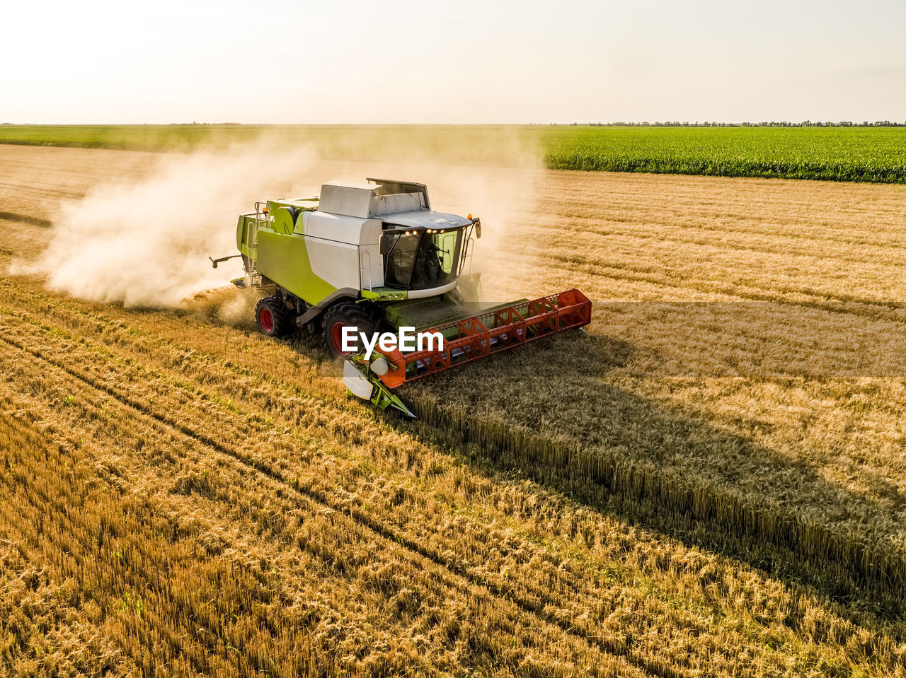 Drone view of combine harvester in wheat field