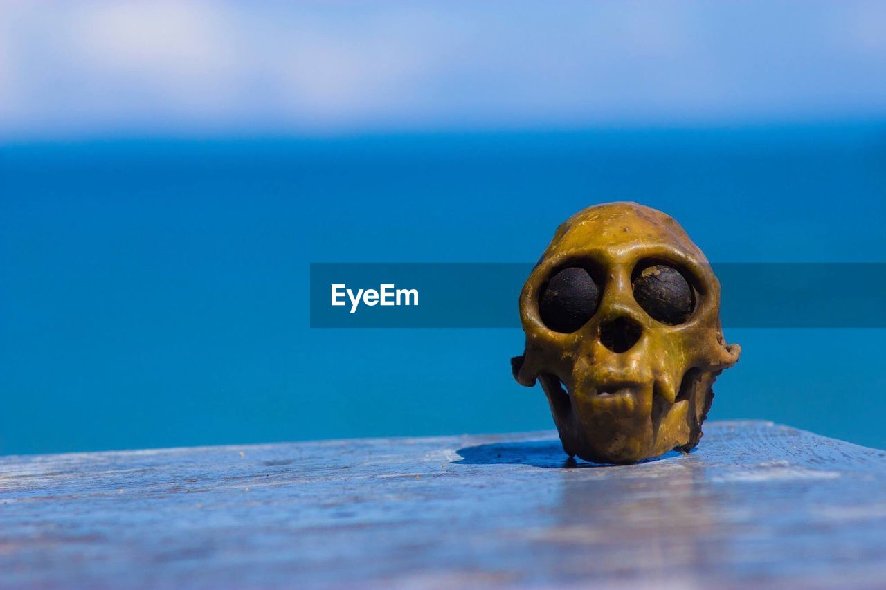 Human skull on table by sea against sky