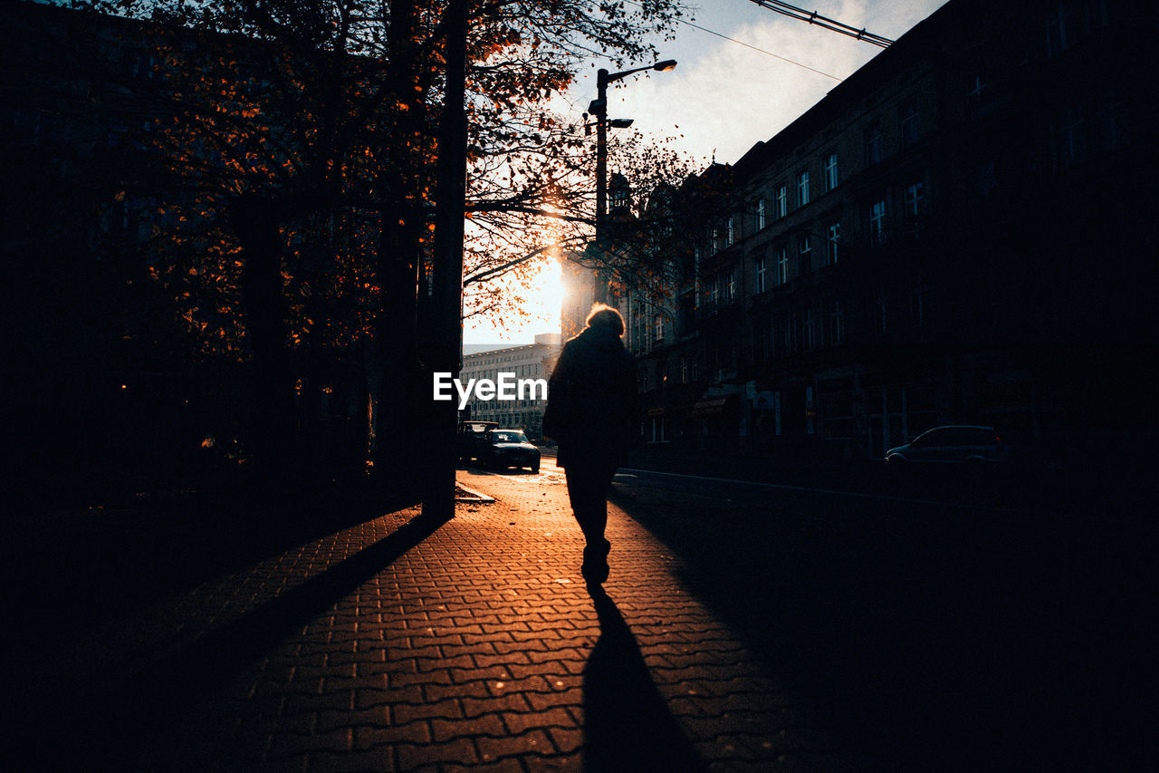 Rear view of person walking on street in city