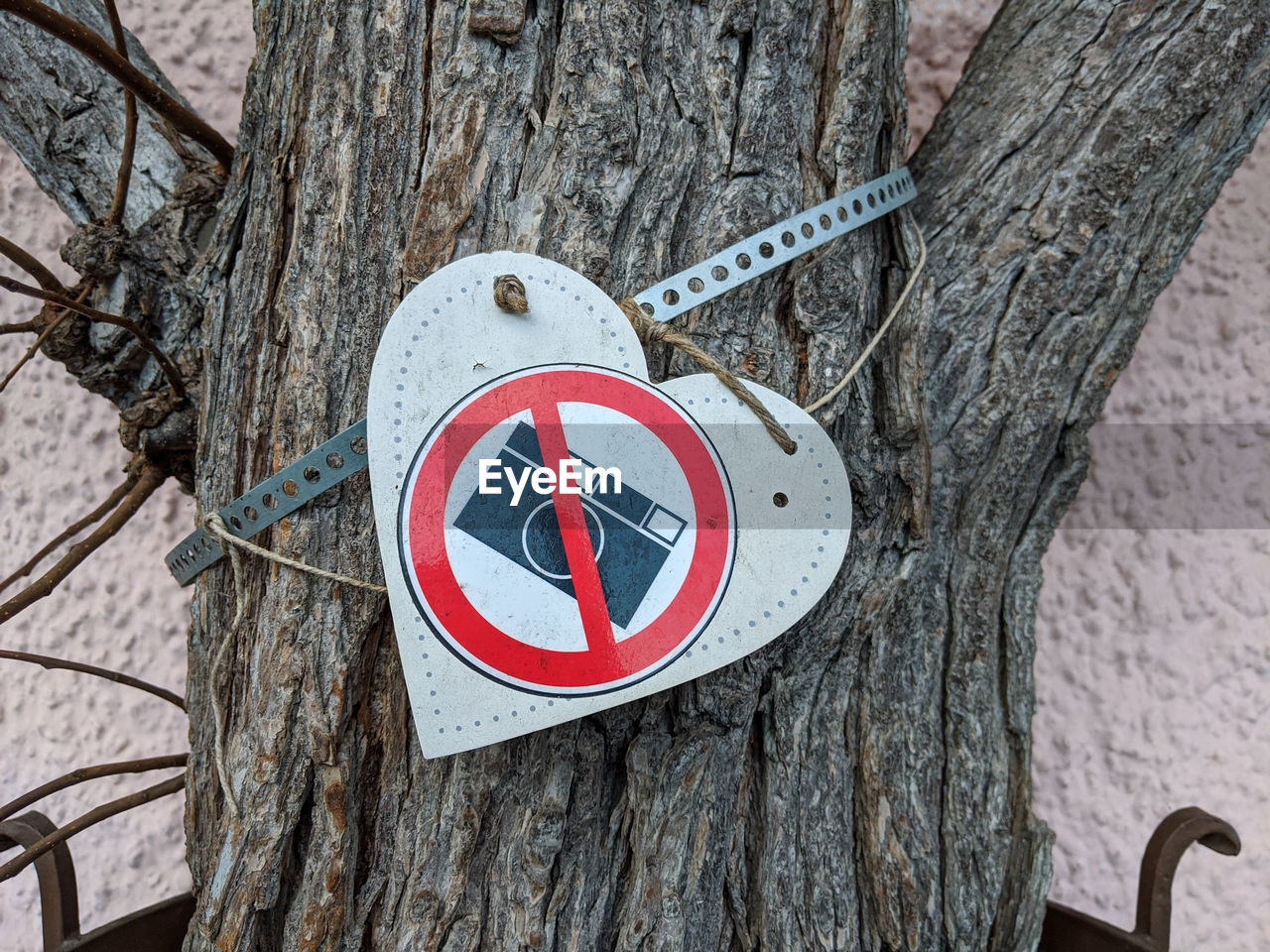 Close-up of heart shaped "no photos" - sign hanging on tree trunk