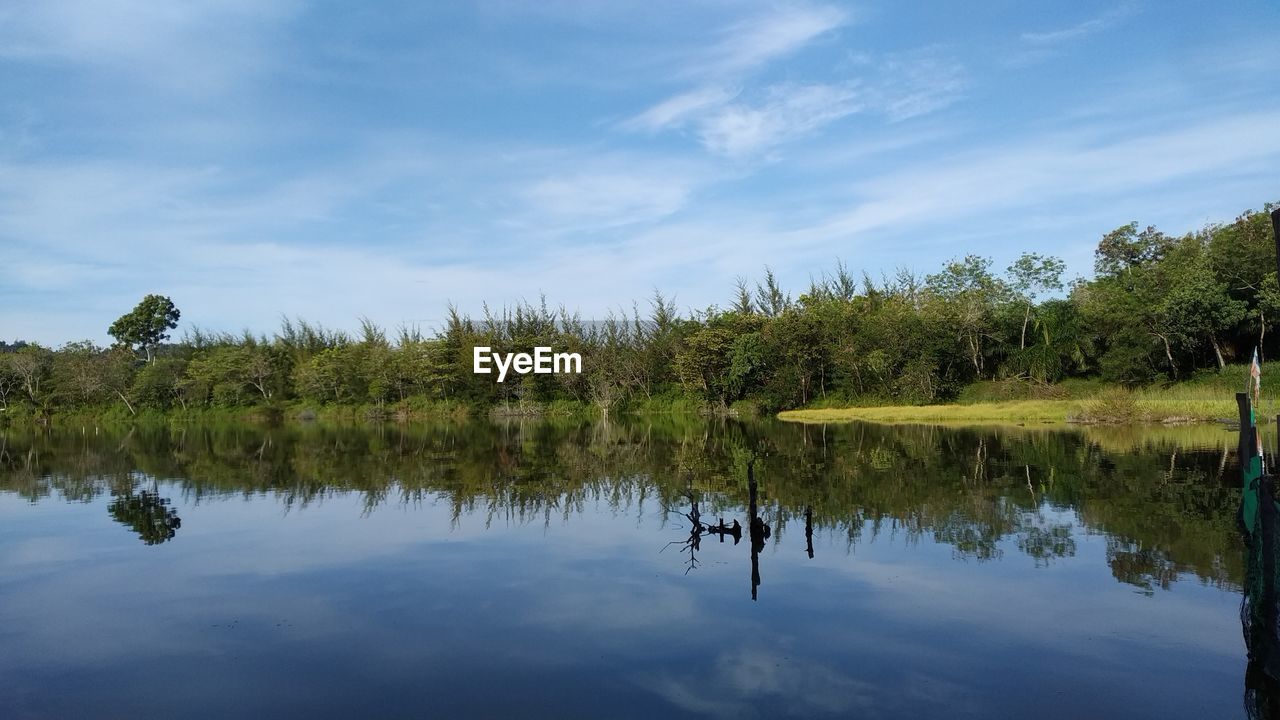 SCENIC VIEW OF LAKE AND TREES AGAINST SKY