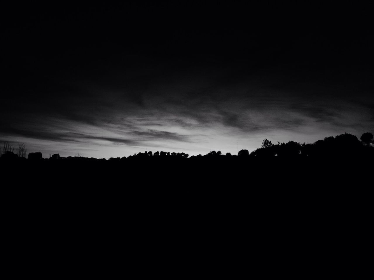 SILHOUETTE OF TREES AT SUNSET