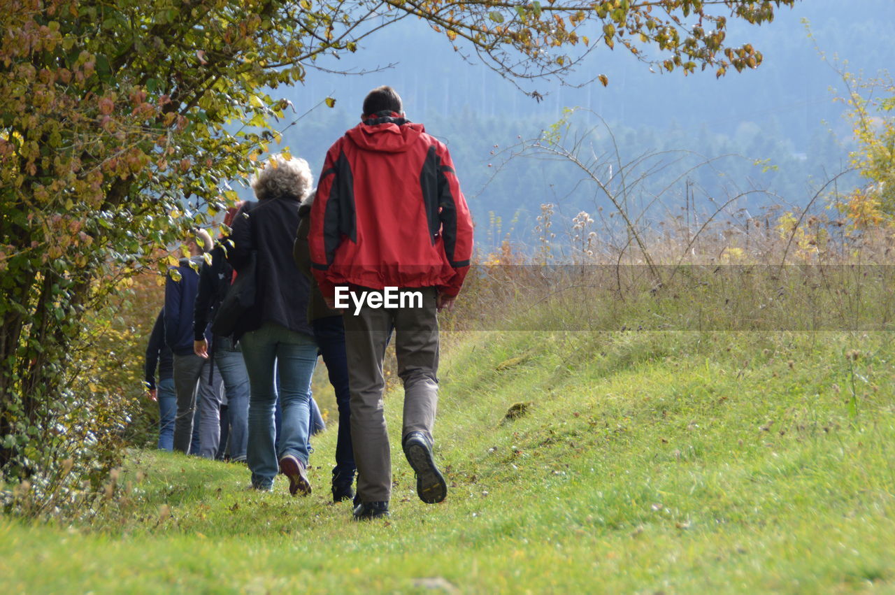 Rear view of friends walking on grassland