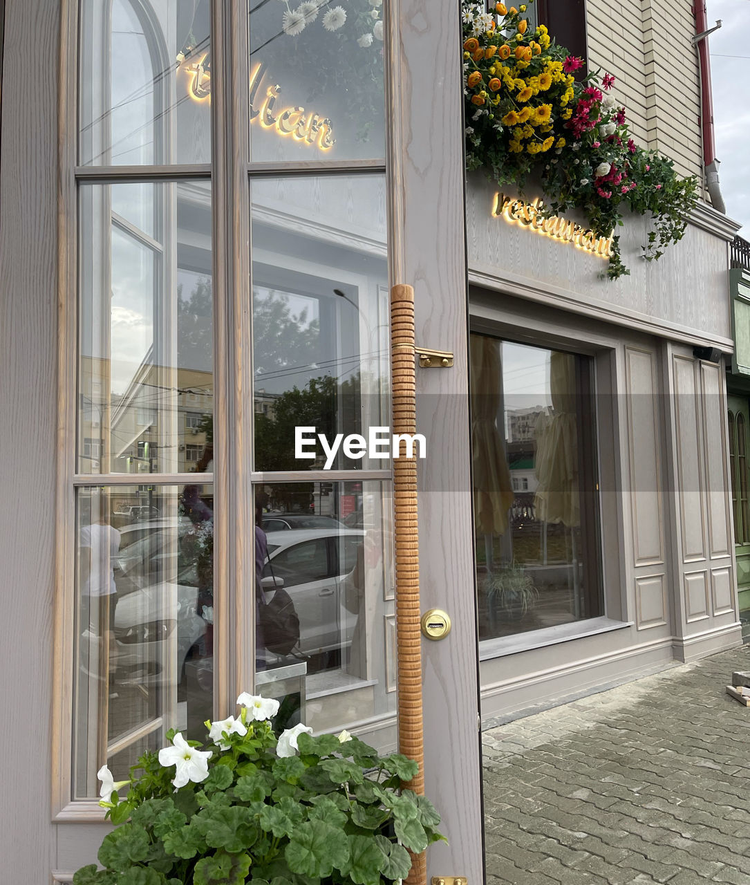 POTTED PLANTS ON WINDOW WITH BUILDING