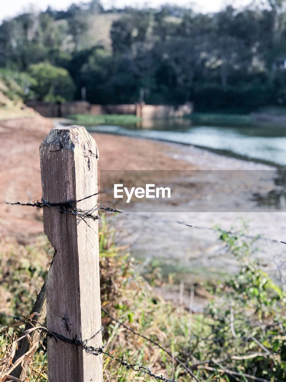 CLOSE-UP OF WOODEN POST AGAINST TREE