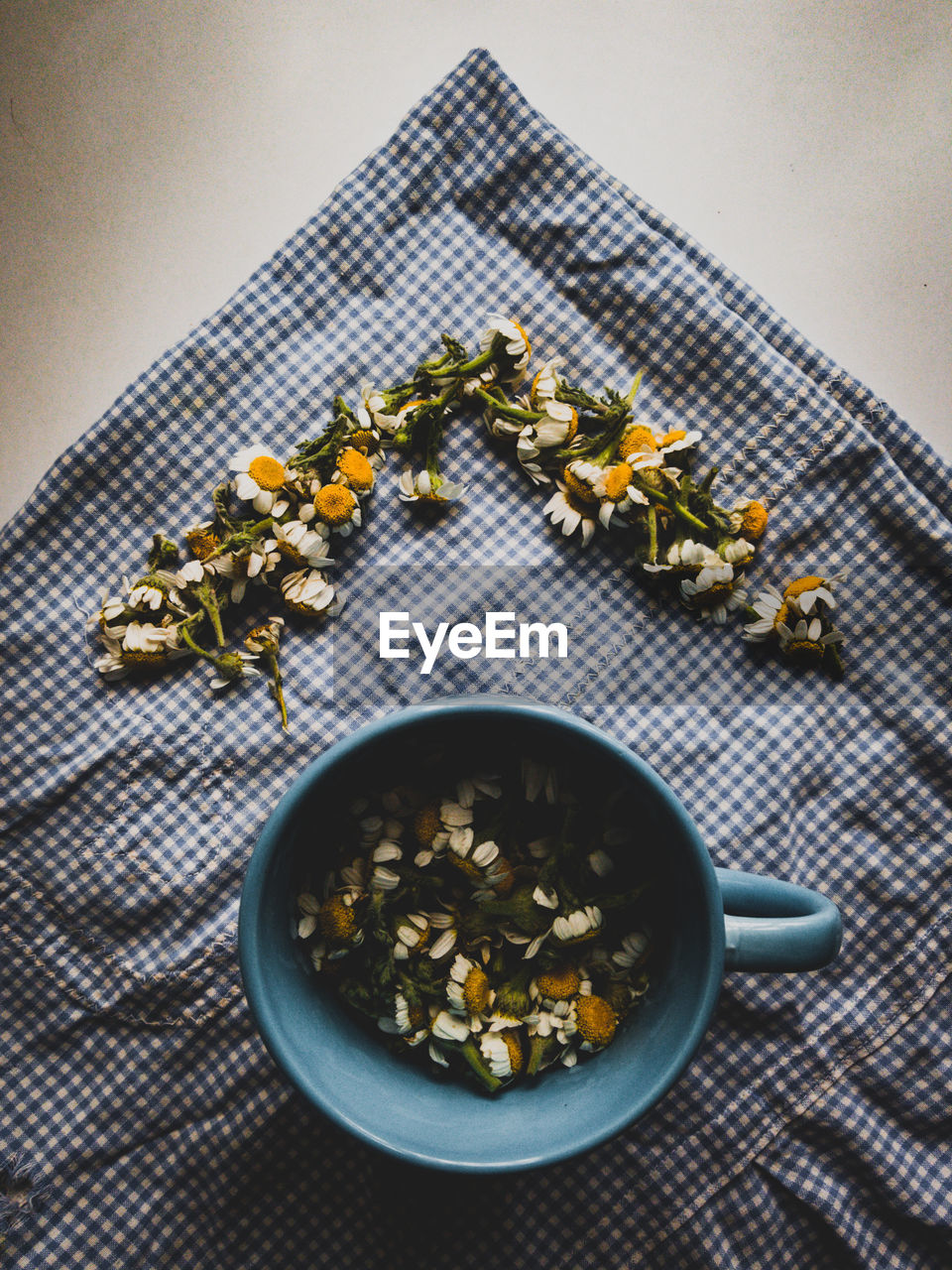 DIRECTLY ABOVE SHOT OF POTTED PLANT ON TABLE