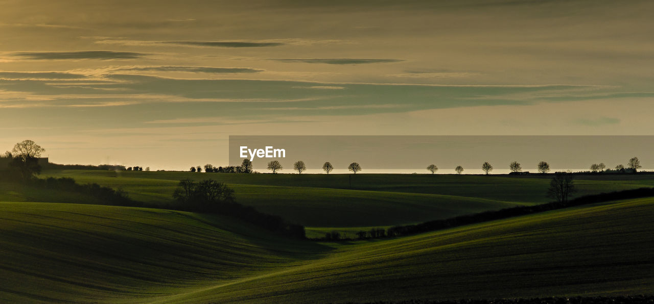 Scenic view of agricultural field against sky