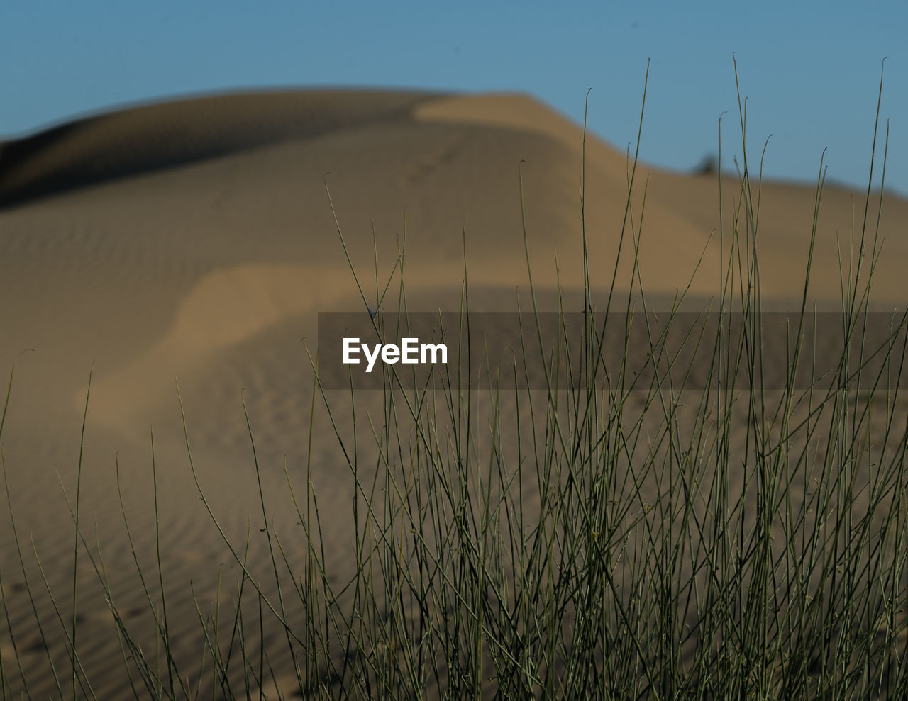 Scenic view of land against clear sky