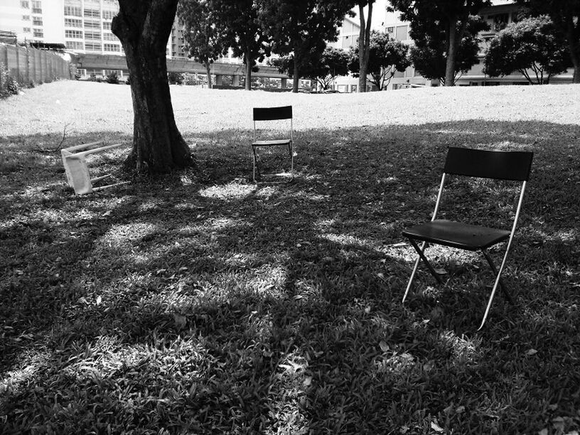 PARK BENCH IN PARK