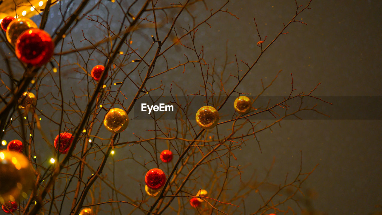 LOW ANGLE VIEW OF BARE TREE AGAINST SKY