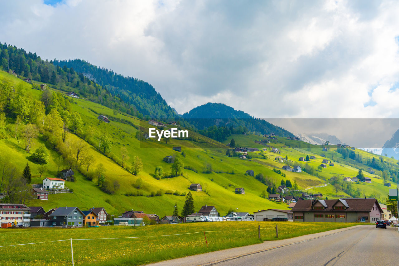 SCENIC VIEW OF RURAL LANDSCAPE