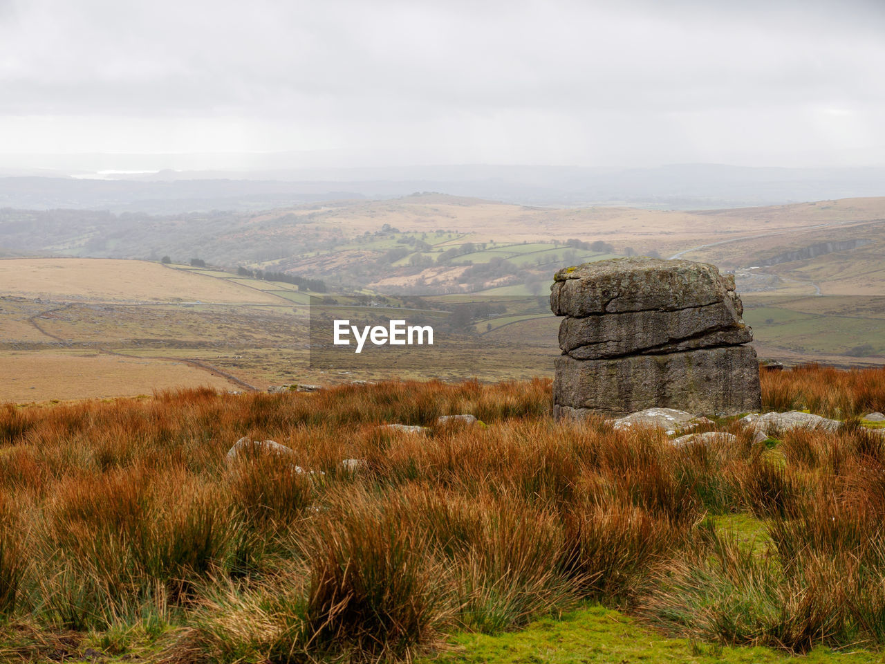 Tor rock formation among the moor  shrubs overlooking the hills of dartmoor devon, united kingdom.