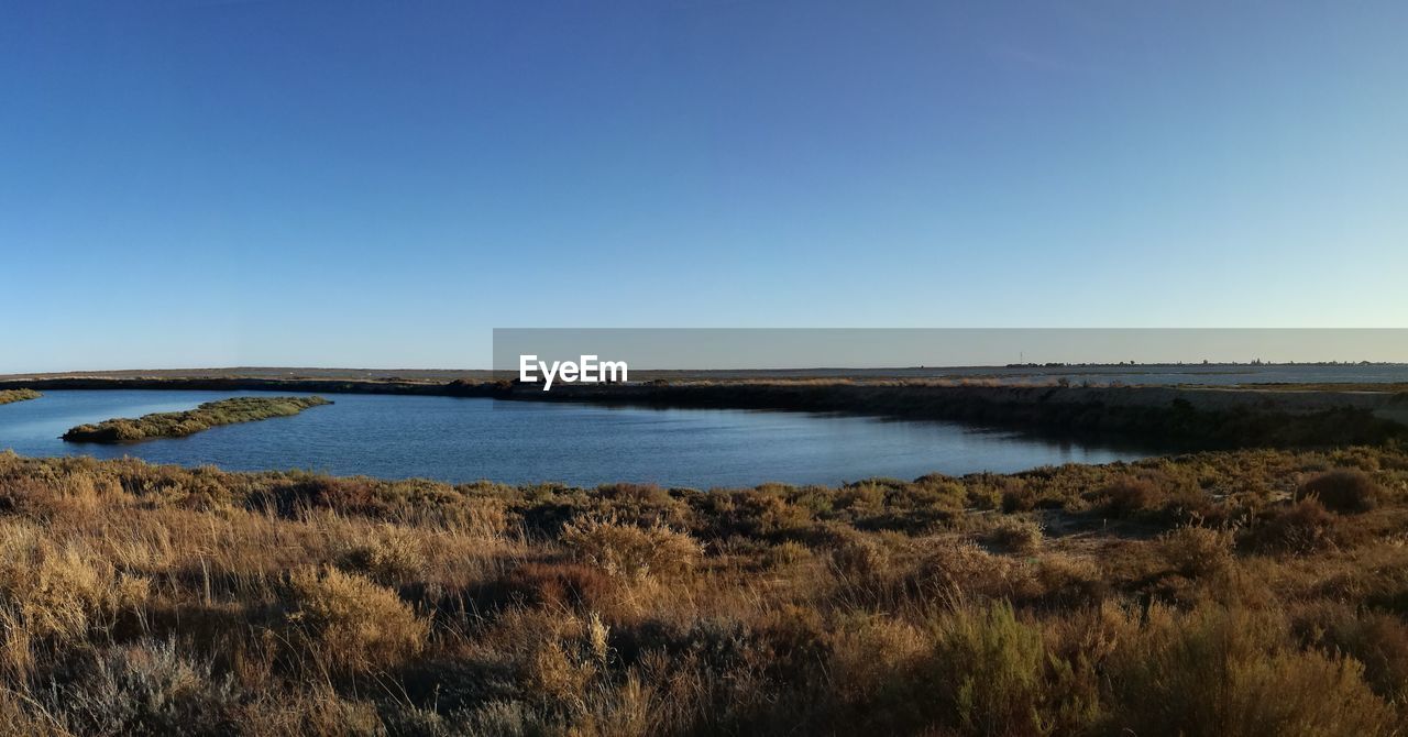 Scenic view of landscape against clear blue sky