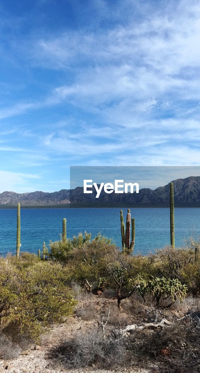 SCENIC VIEW OF SEA AND MOUNTAINS AGAINST BLUE SKY