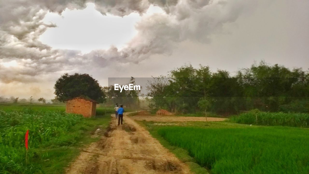 REAR VIEW OF MAN WALKING ON GRASSY FIELD