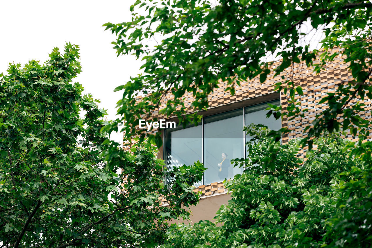 From below through window view of female in stylish outfit standing in modern house with geometric elements on walls near green trees and plants in daytime