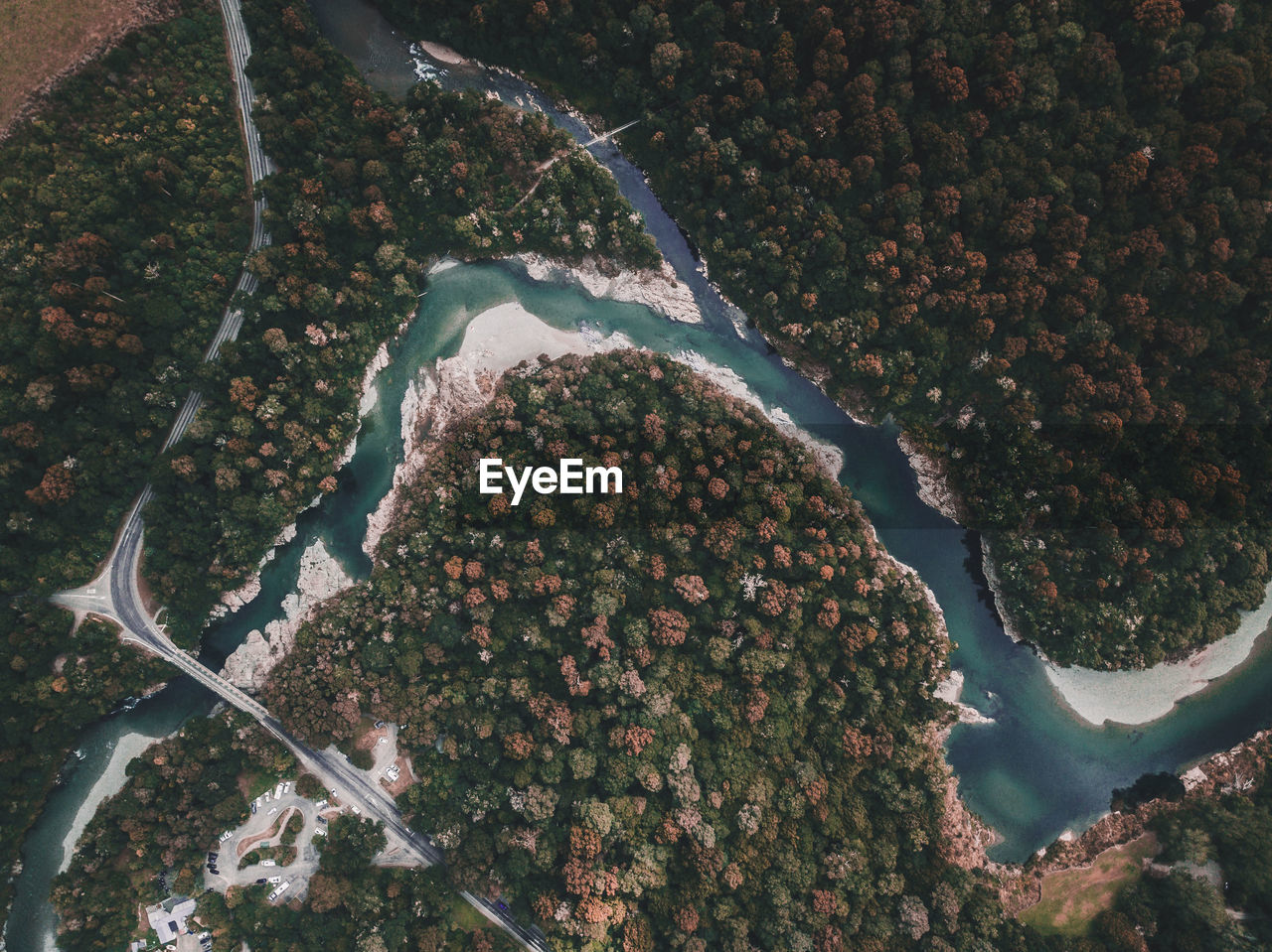 Aerial view of trees and river