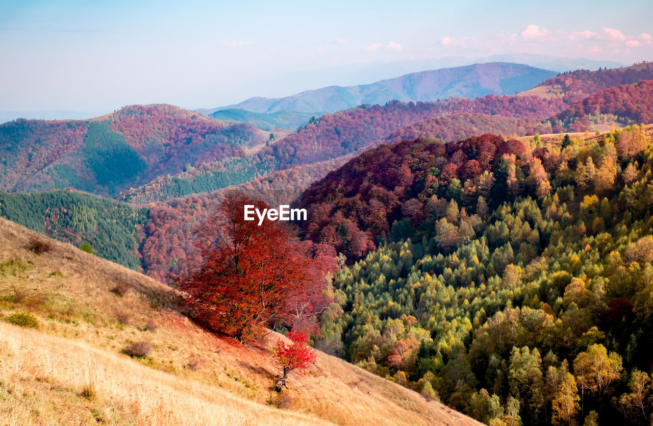 Romanian mountains in autumn season, cindrel mountains, paltinis area, sibiu county, central romania