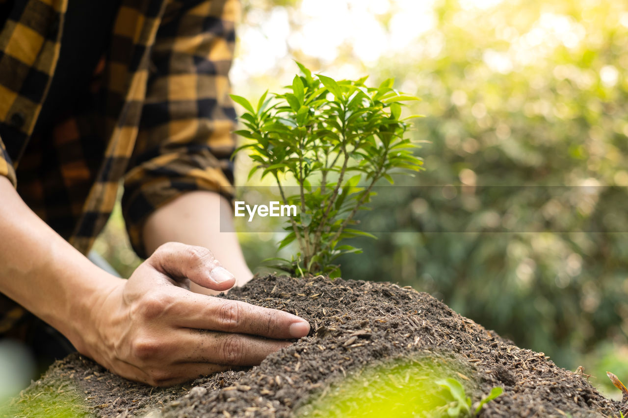 CLOSE-UP OF WOMAN HOLDING PLANT