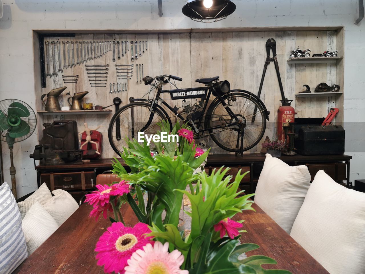 VIEW OF POTTED PLANTS IN FRONT OF WOODEN TABLE