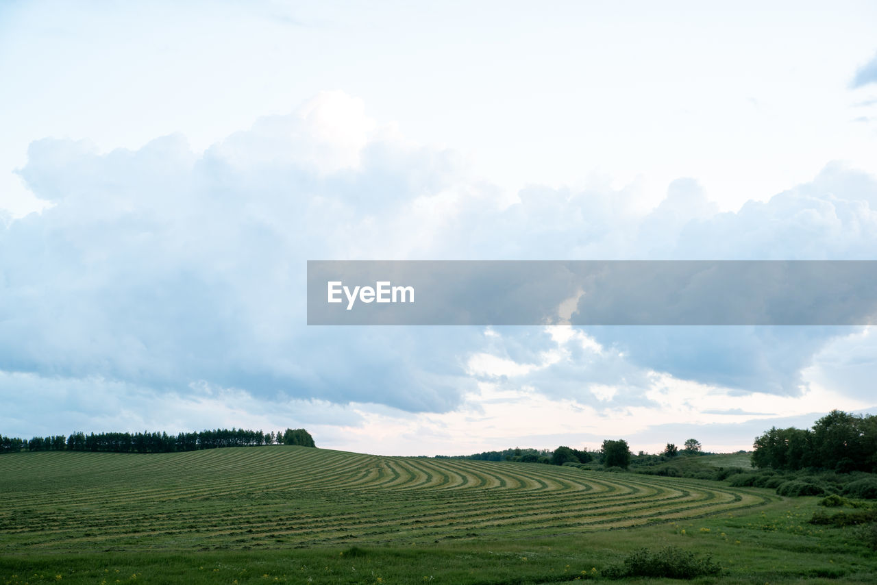 SCENIC VIEW OF FARM AGAINST SKY