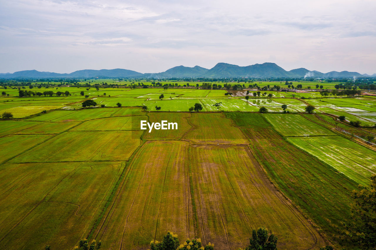 Scenic view of agricultural field against sky