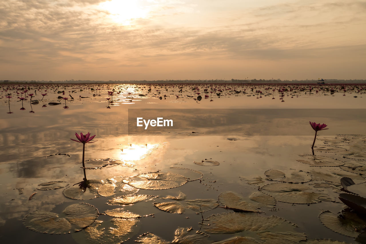 SCENIC VIEW OF LAKE