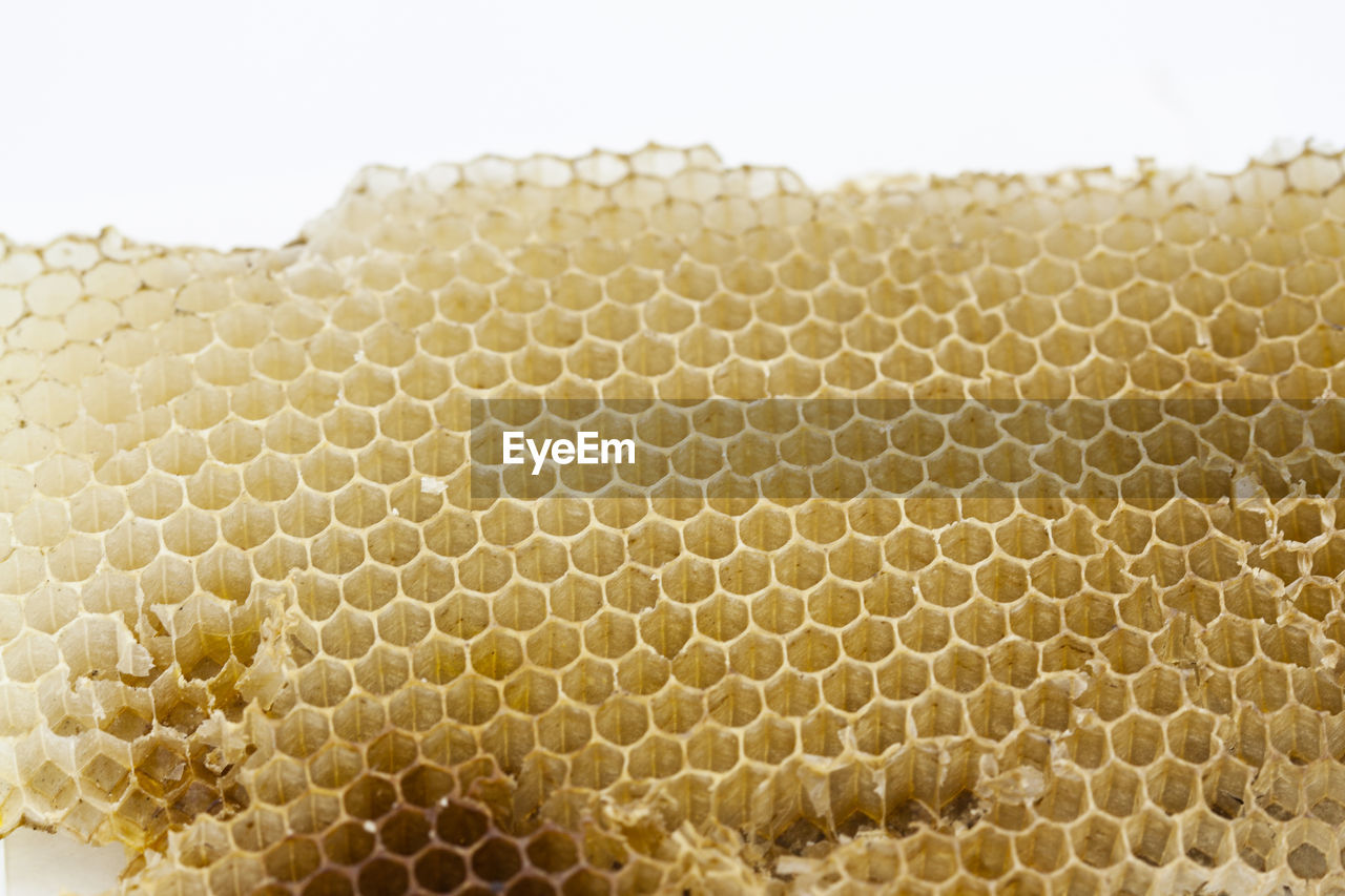 Close-up of honeycomb