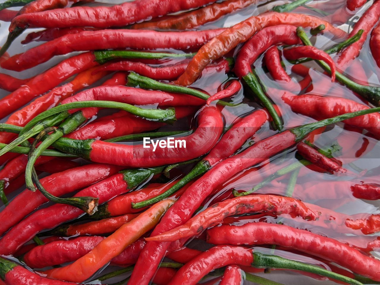 full frame shot of green chili peppers