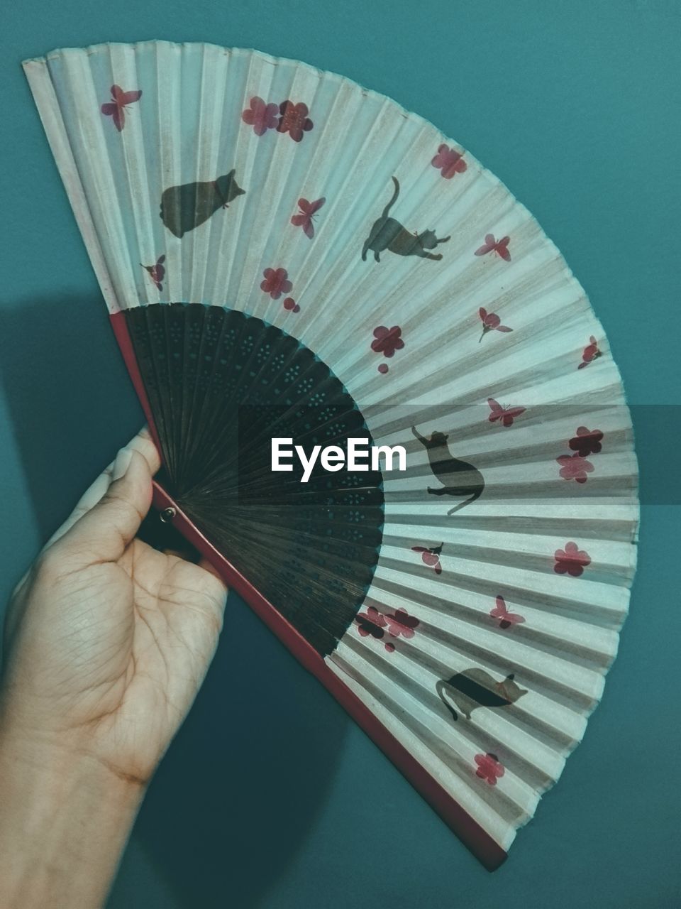 Close-up of woman holding hand fan