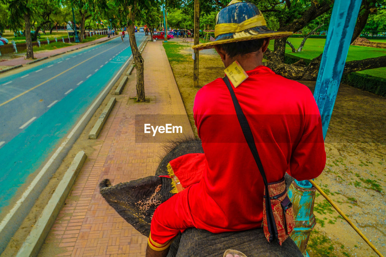 clothing, one person, hat, adult, rear view, men, sitting, nature, plant, traditional clothing, tree, day, lifestyles, outdoors, sun hat, occupation, red, full length, person