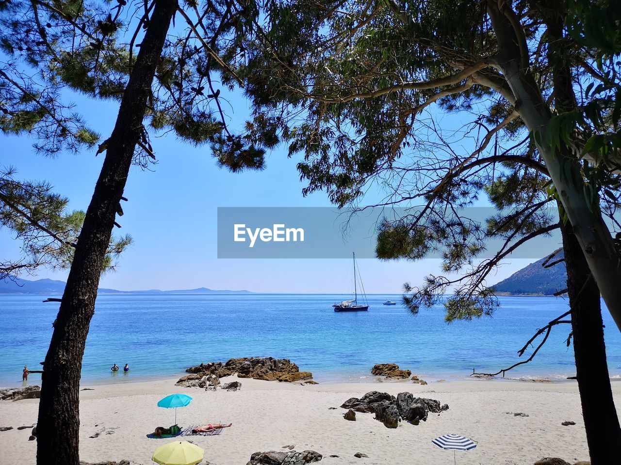 water, tree, sea, land, beach, plant, nature, sky, body of water, beauty in nature, scenics - nature, tranquility, shore, tranquil scene, sand, horizon over water, blue, day, travel destinations, travel, no people, holiday, vacation, outdoors, trip, horizon, ocean, idyllic, nautical vessel, coast, clear sky, sunlight, coastline, environment, tropical climate, tourism, tree trunk, trunk, non-urban scene