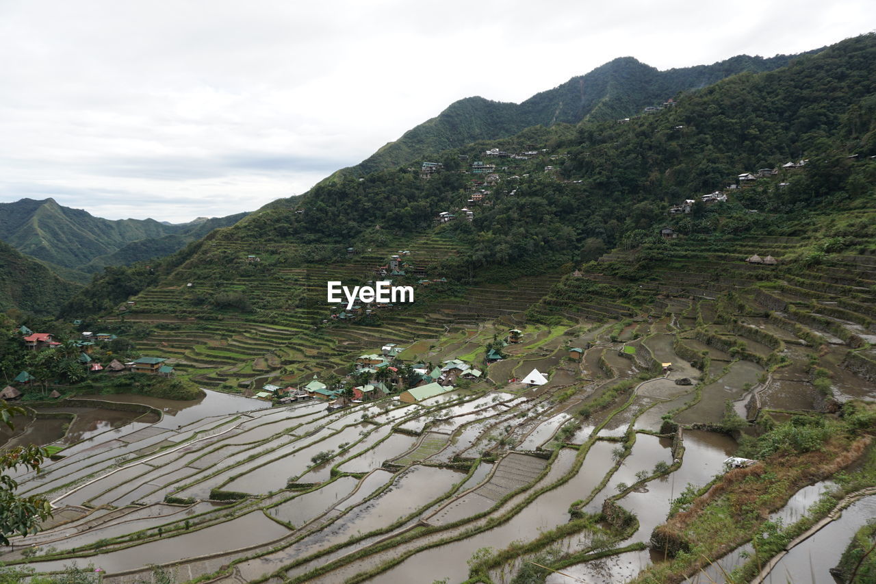 Rice terraces philippines