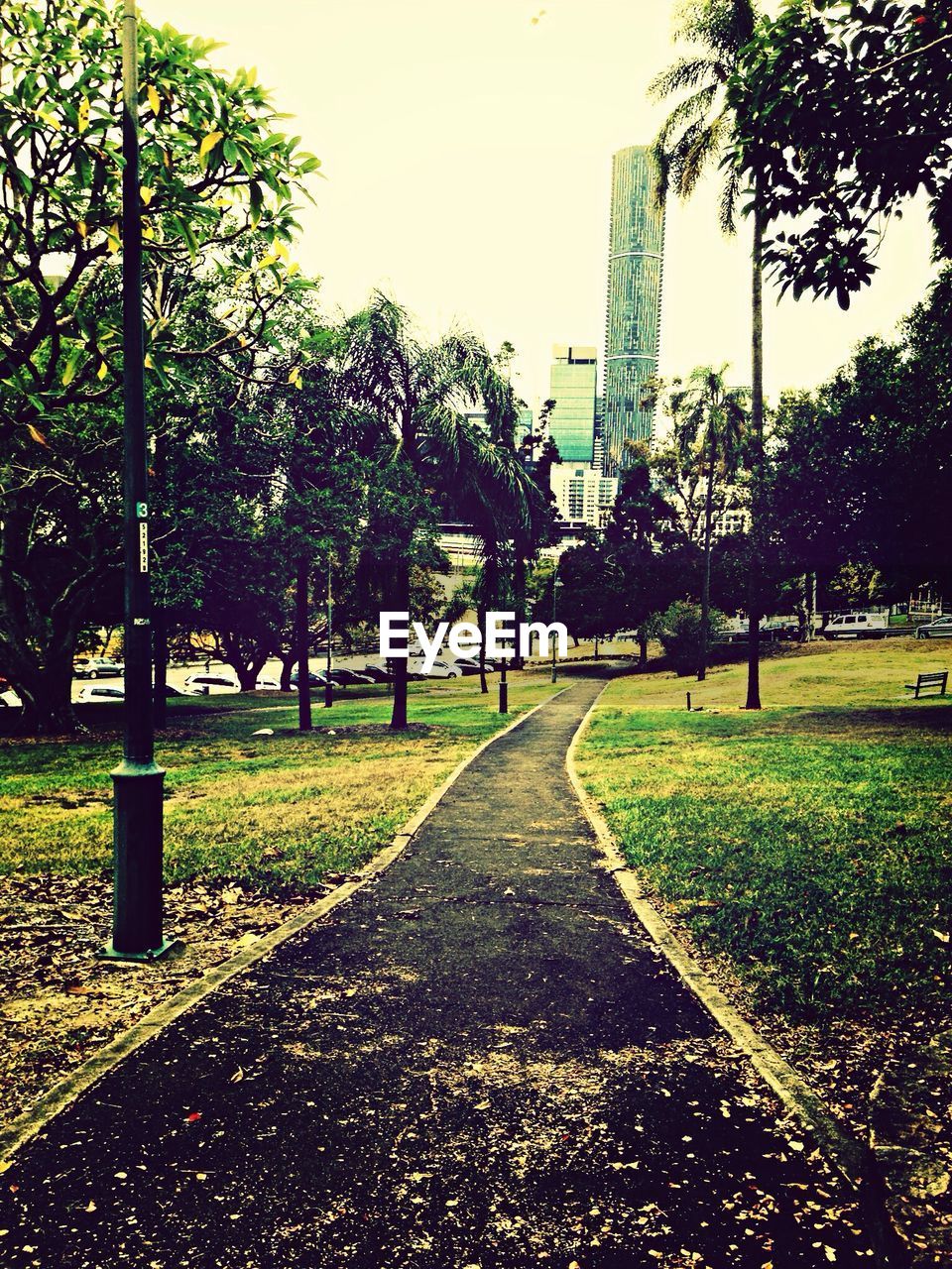 Footpath with petals in park