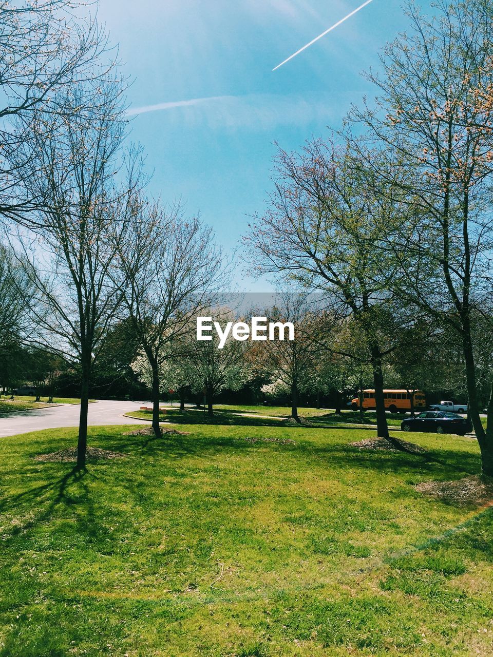 TREES ON GRASSY FIELD AGAINST CLOUDY SKY