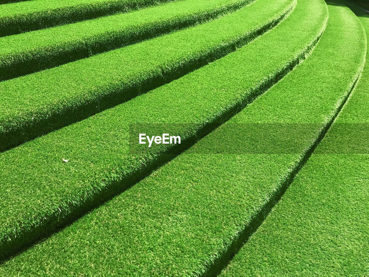 High angle view of green field