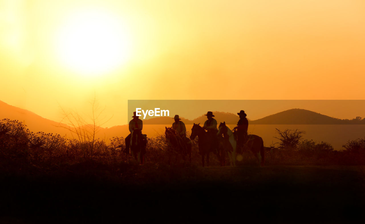 SILHOUETTE PEOPLE RIDING HORSES ON FIELD DURING SUNSET