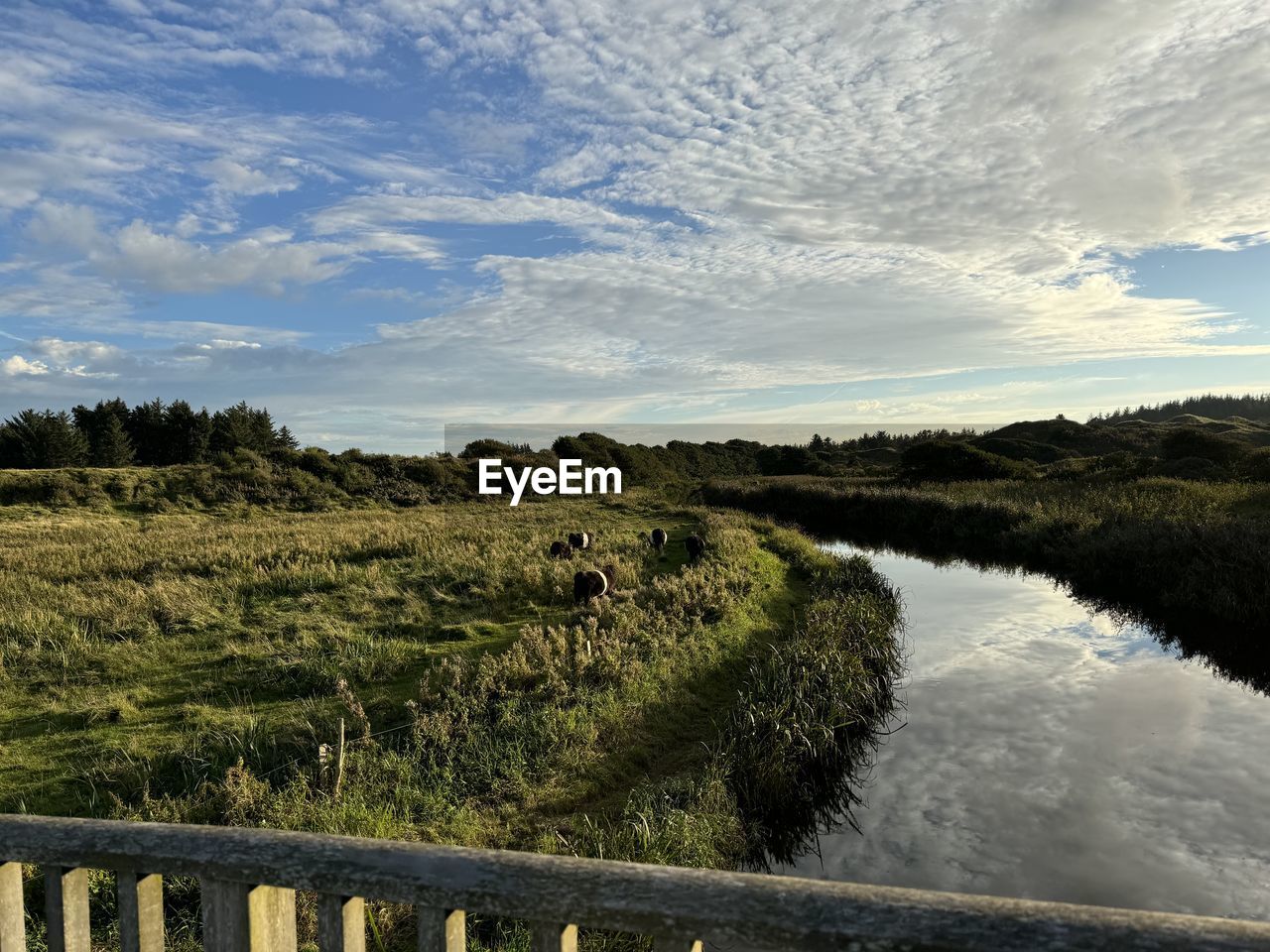 nature, sky, landscape, cloud, water, plant, environment, scenics - nature, river, reflection, horizon, beauty in nature, morning, shore, no people, land, tree, grass, tranquility, coast, tranquil scene, rural area, hill, outdoors, reservoir, non-urban scene, day, natural environment, fence, rural scene, field, travel destinations, travel