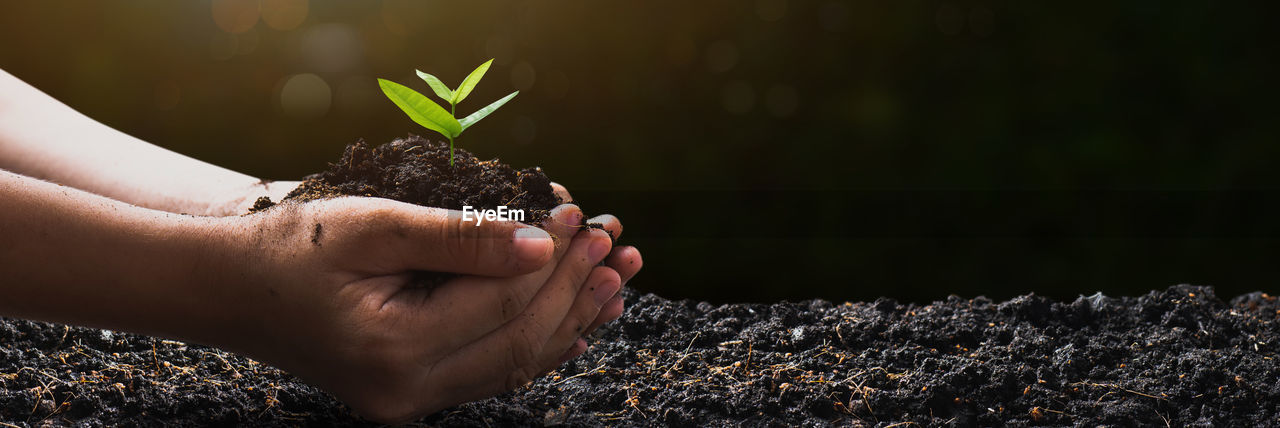 hand, soil, nature, close-up, plant, one person, leaf, flower, plant part, growth, adult, macro photography, beginnings, environment, outdoors, land, green, dirt, women, holding, gardening, environmental conservation, sunlight, day, beauty in nature, lifestyles, grass