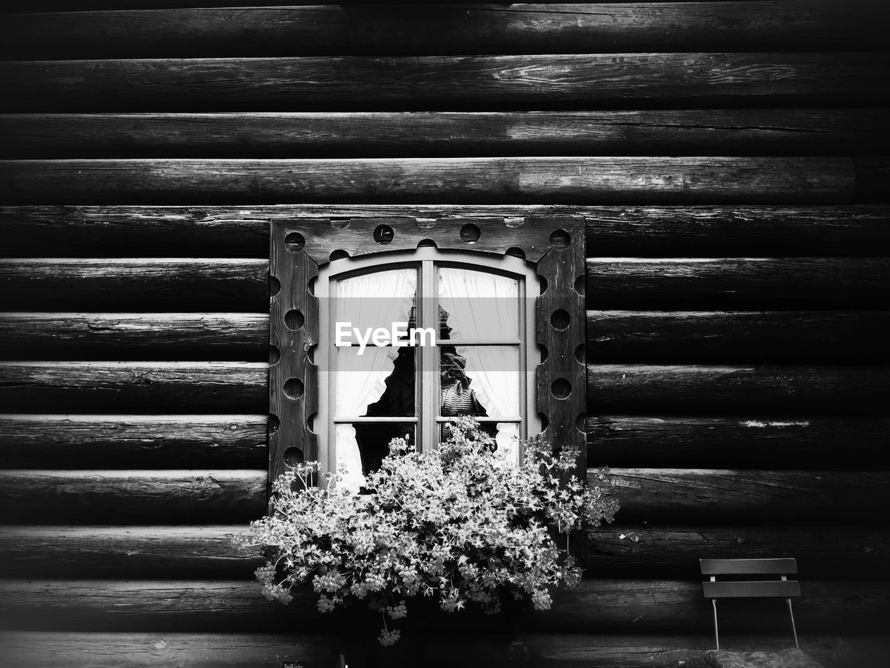 Close-up of window box on wooden wall