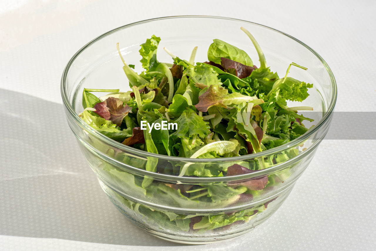 food and drink, food, healthy eating, wellbeing, vegetable, salad, bowl, freshness, lettuce, salad bowl, green, herb, indoors, no people, dish, leaf vegetable, produce, arugula, studio shot, high angle view, leaf, fruit