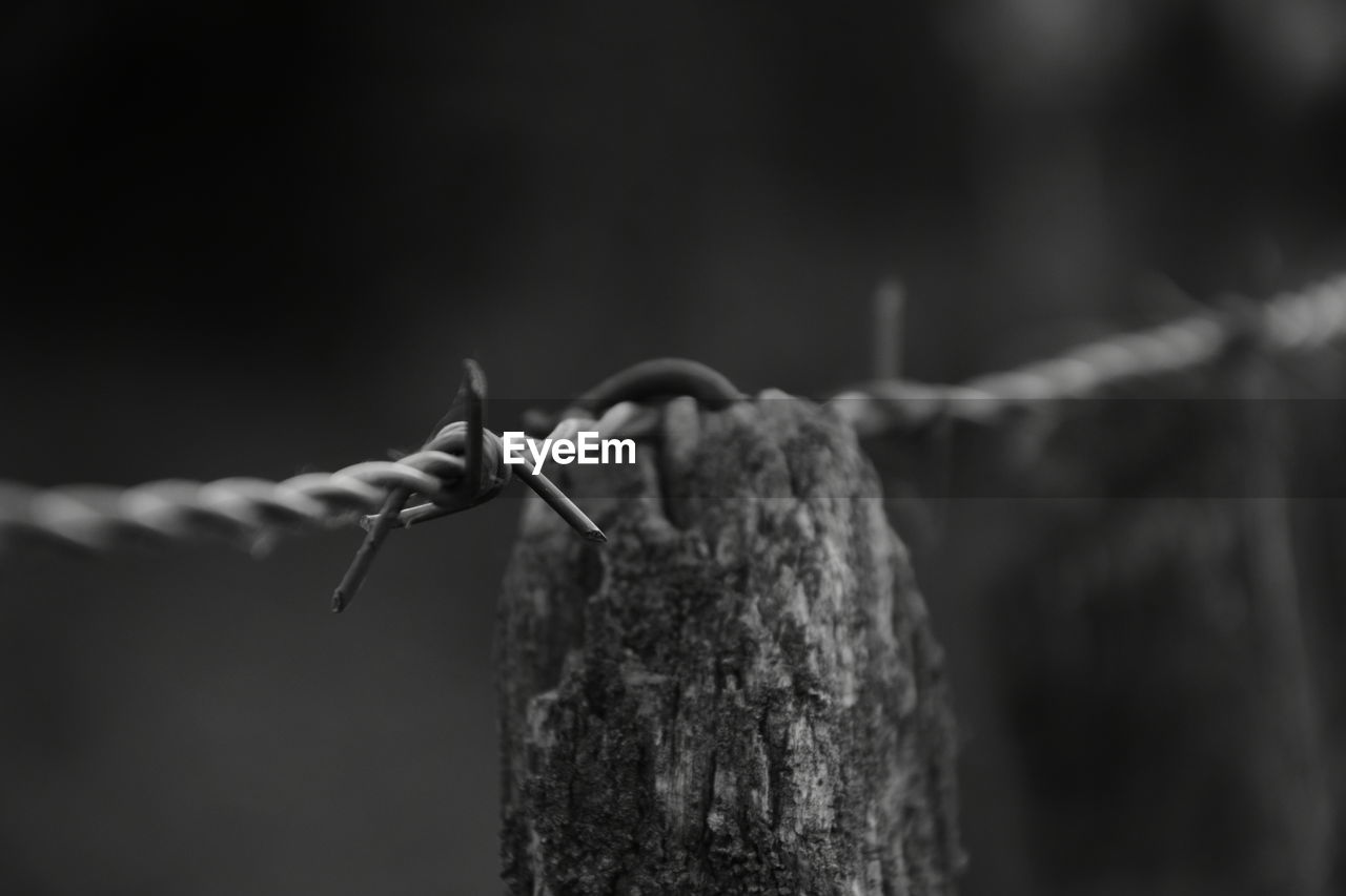 Close-up of barbed wire fence