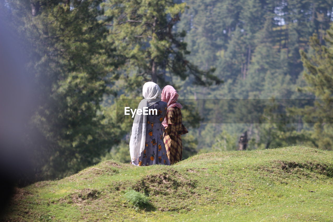 Rear view of people on rock amidst trees