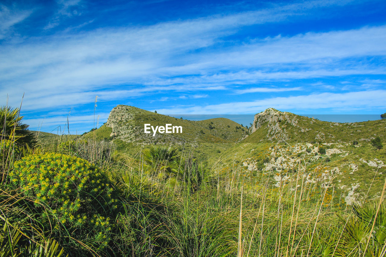 Scenic view of landscape against sky