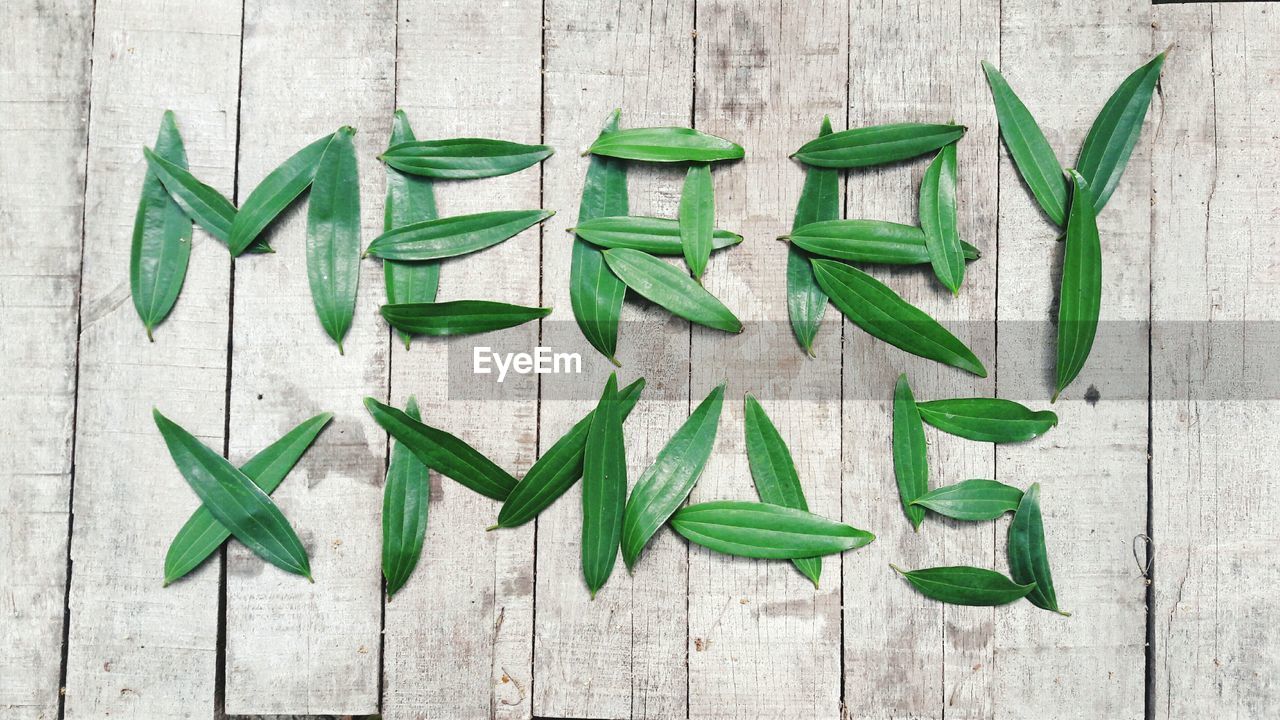 High angle view of text made of leaves